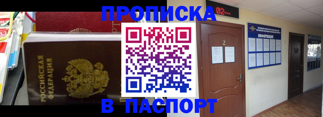 прописка гарантия в Сольцах